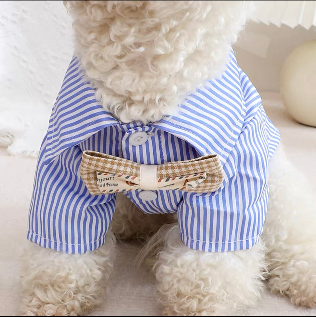 Striped Blue Shirt