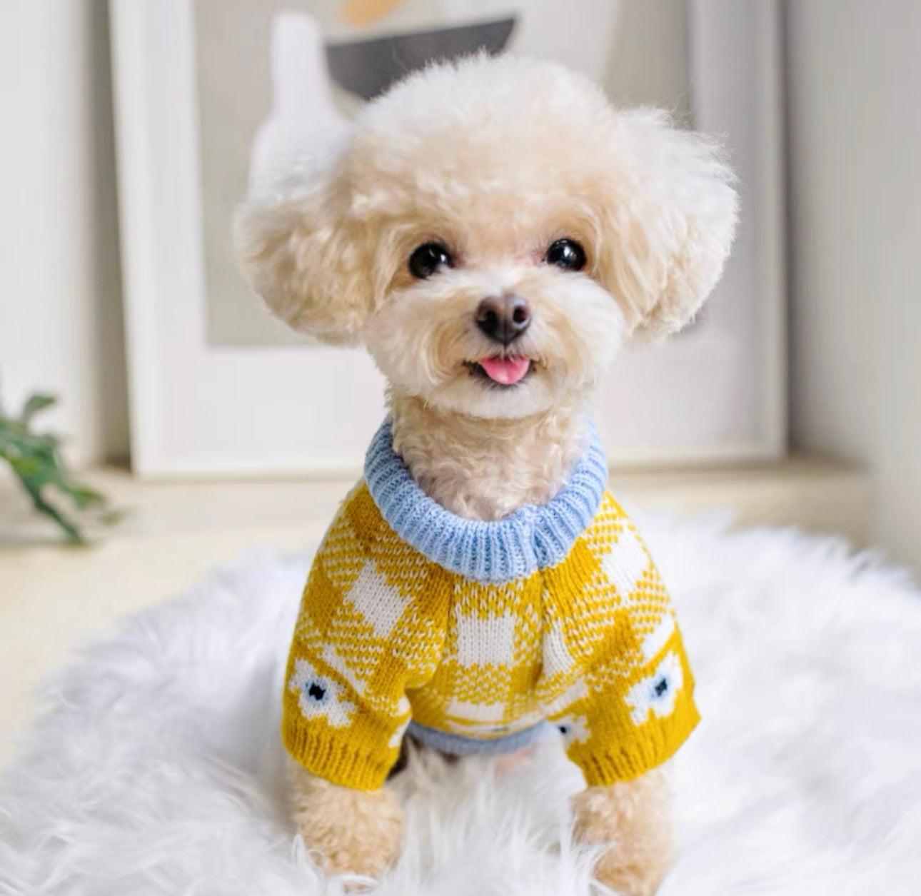 Flower Knit Sweater