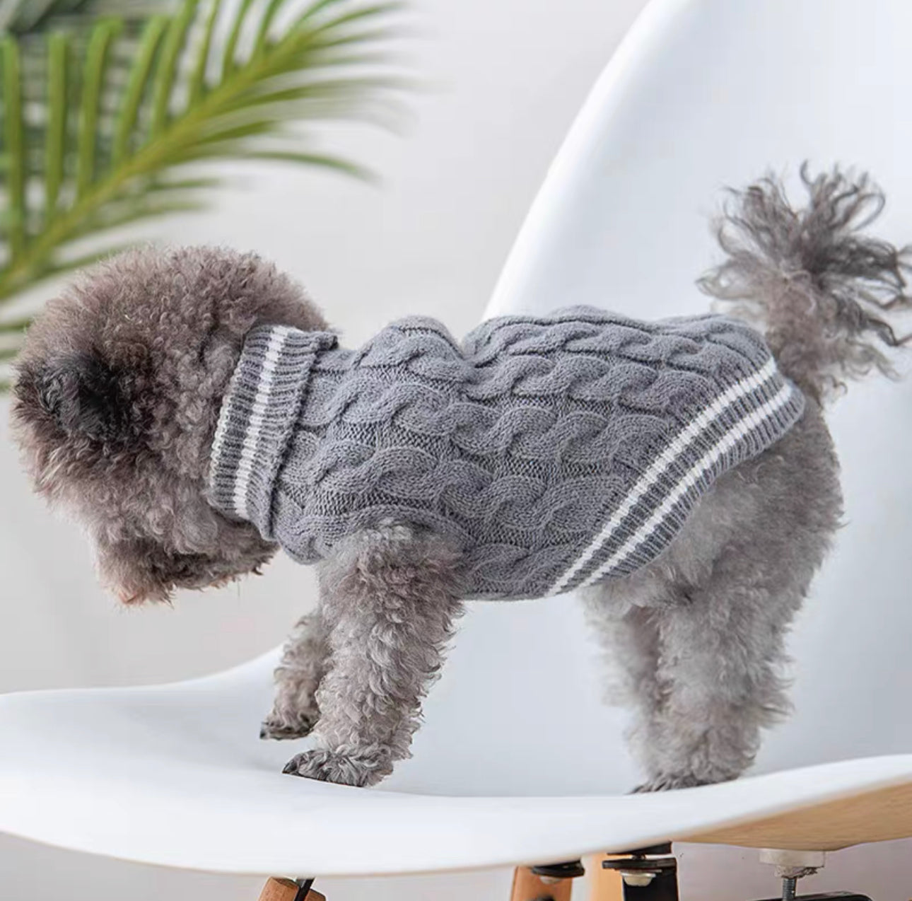 Charm Neck Knit