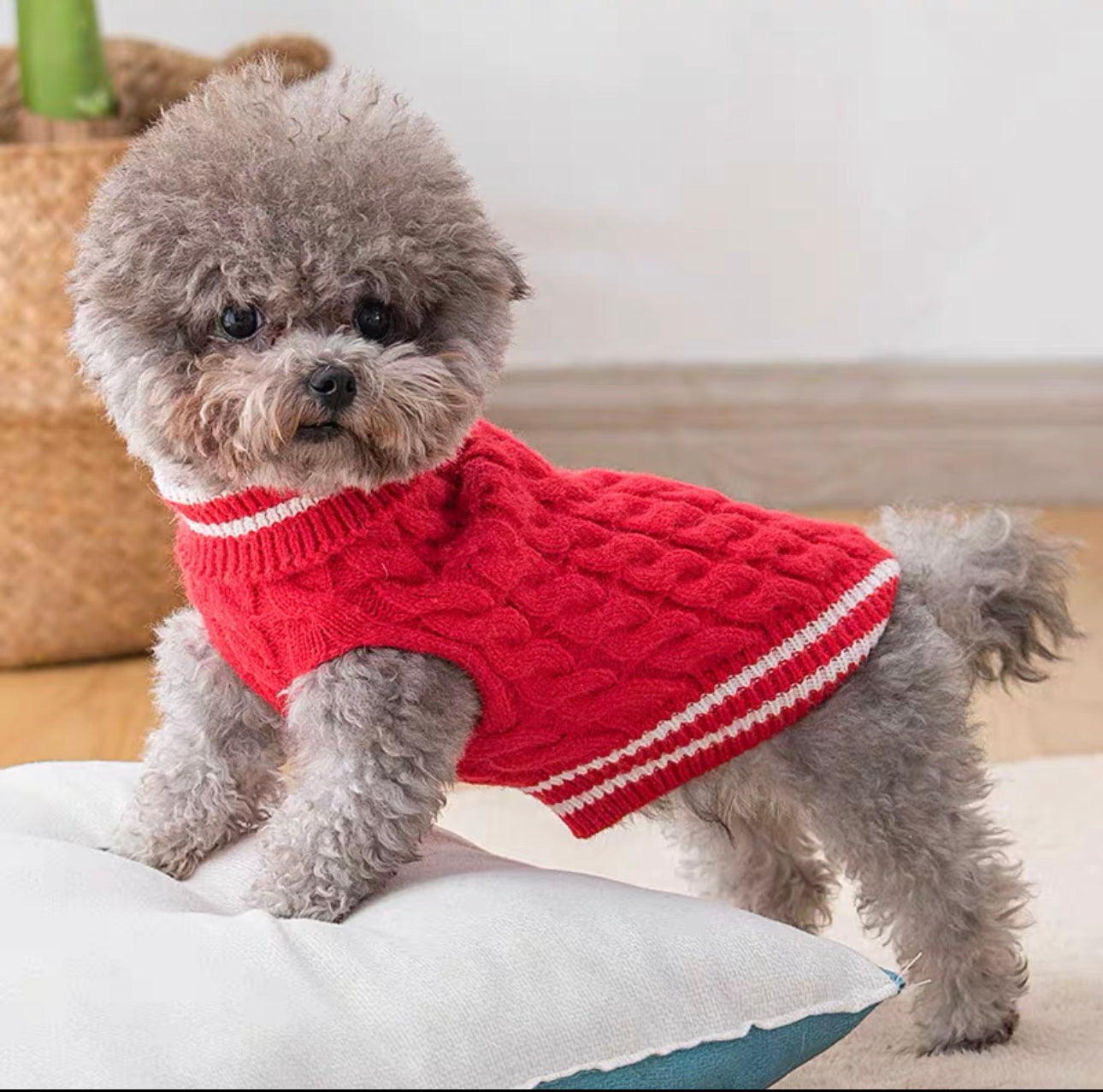 Charm Neck Knit