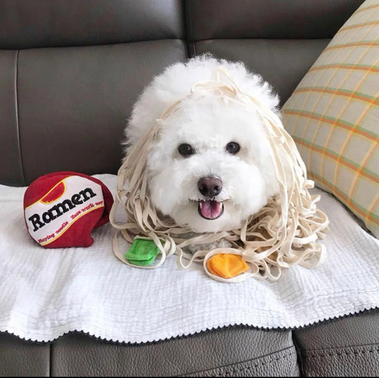 Ramen Toy