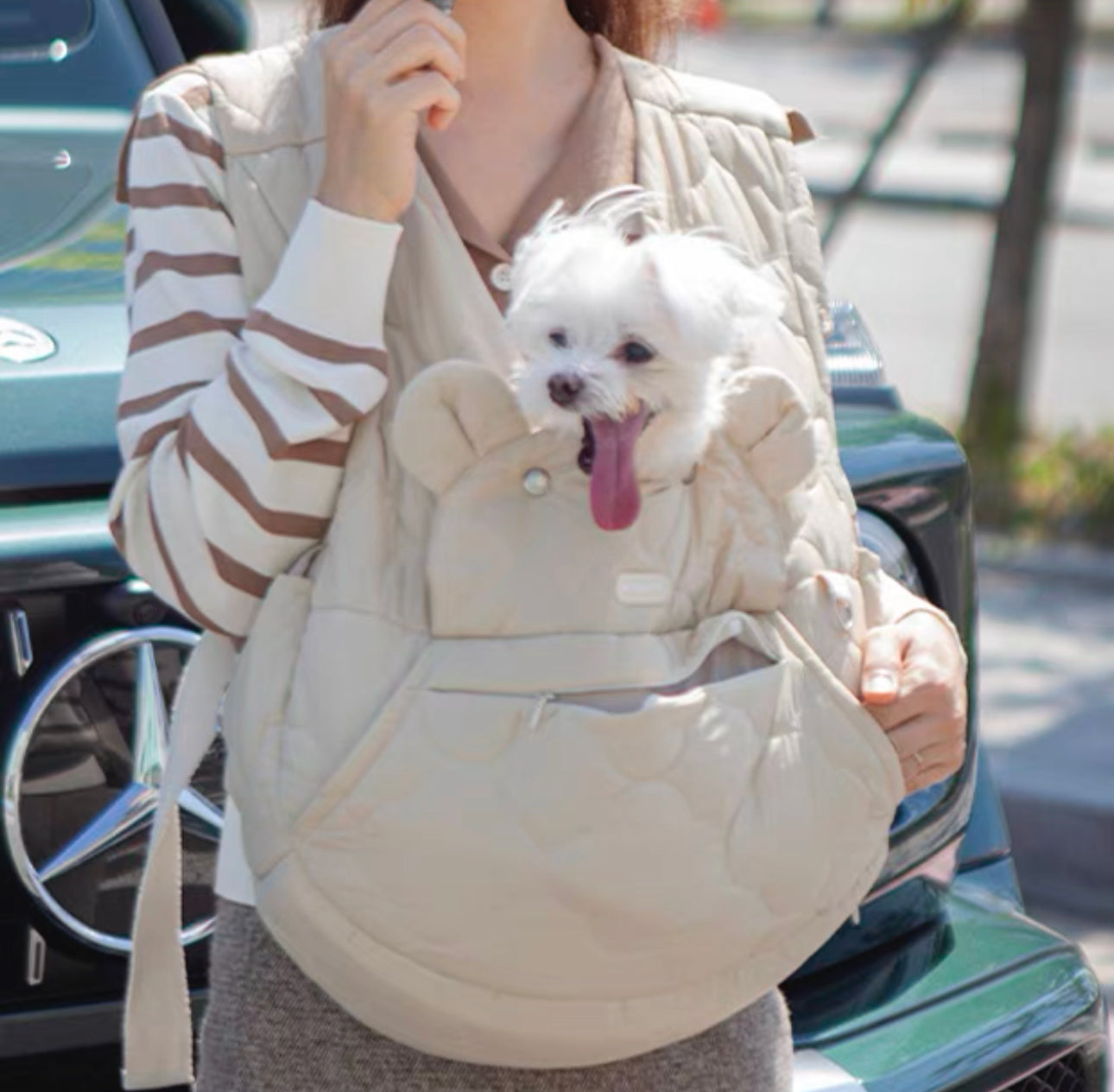 Memory Pet Original Bag