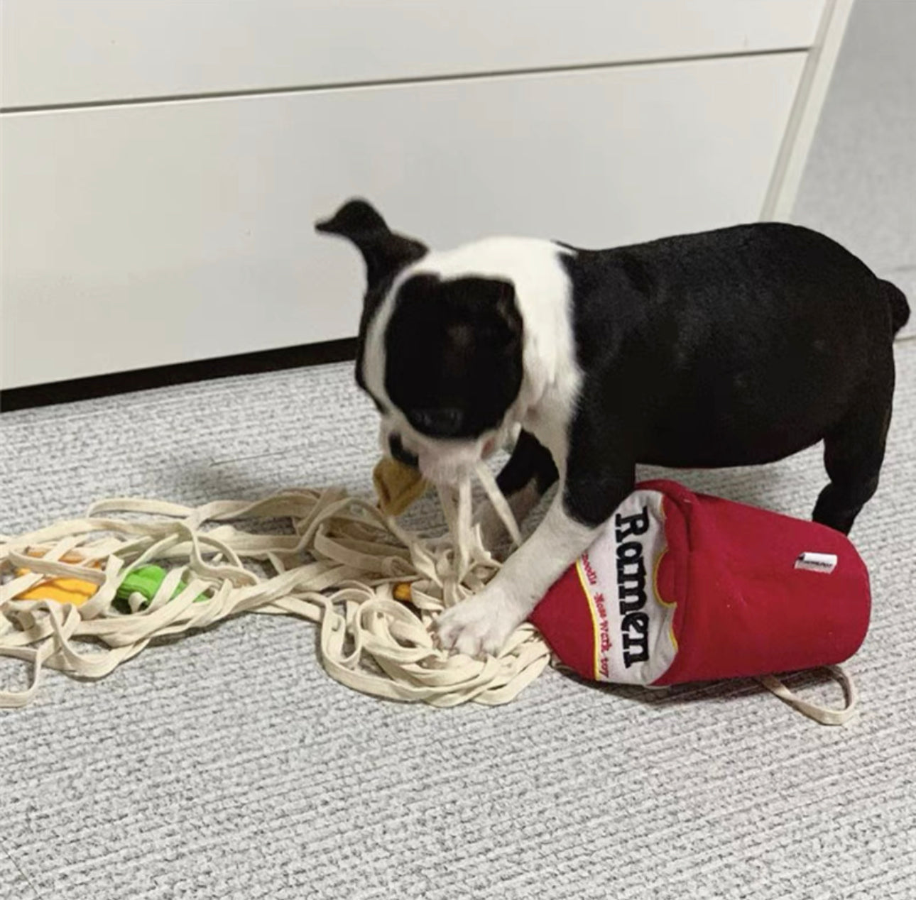 Ramen Toy