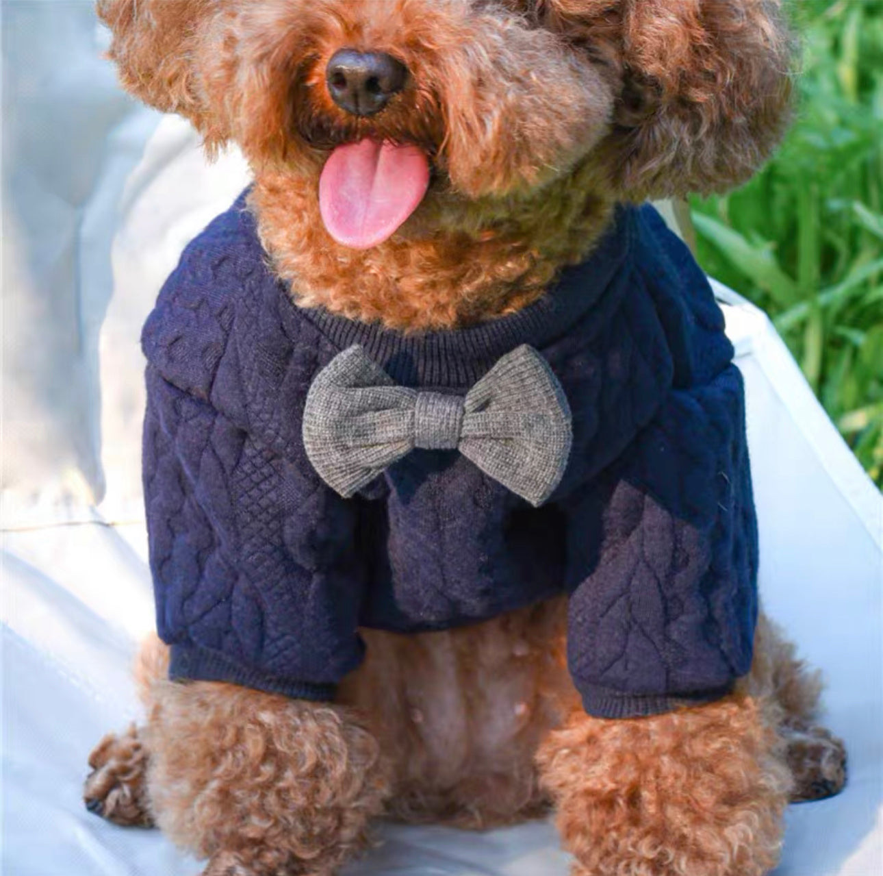Original Ribbon Knit
