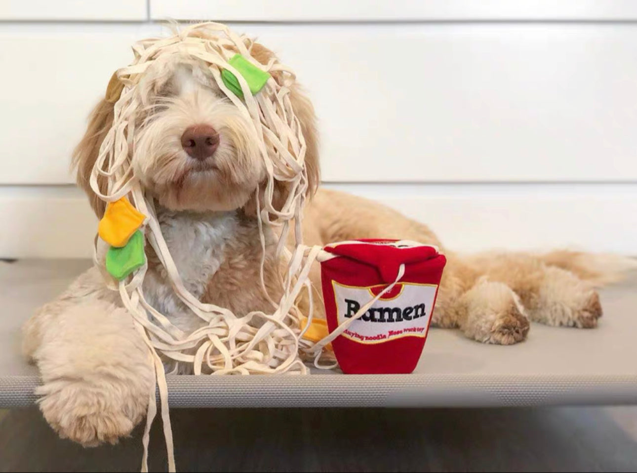 Ramen Toy