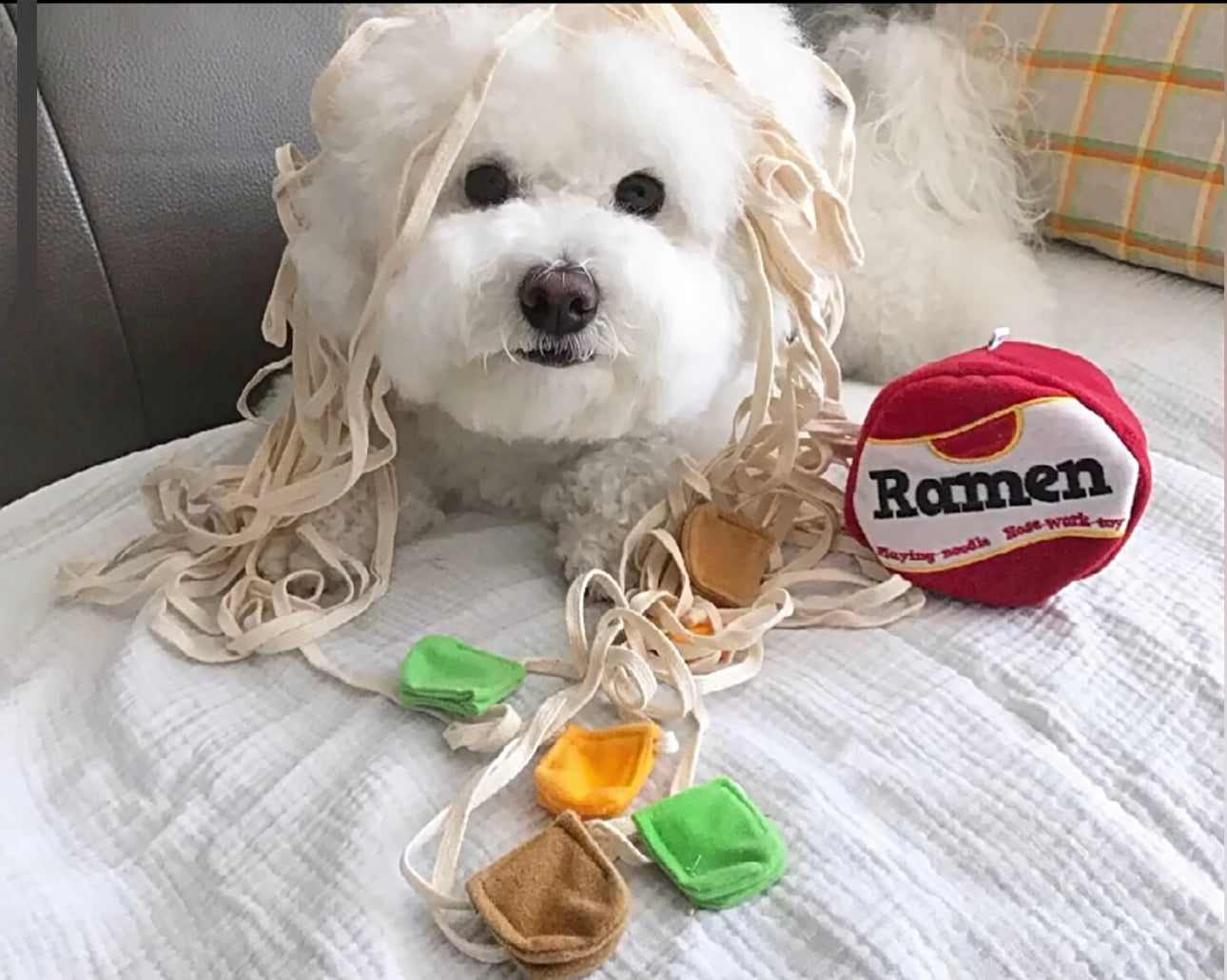 Ramen Toy