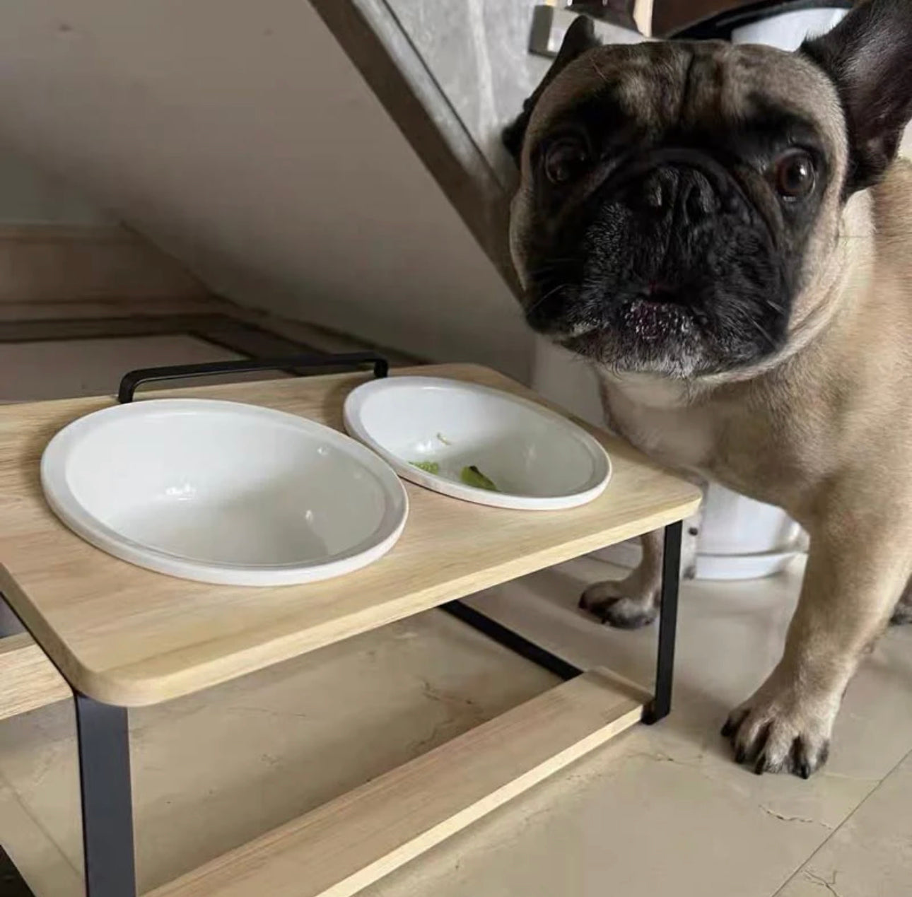 Pine Pet Fooder