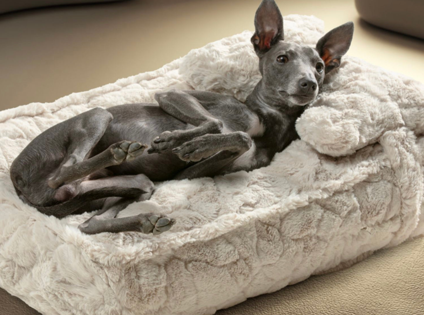 Washable Cushion Bed