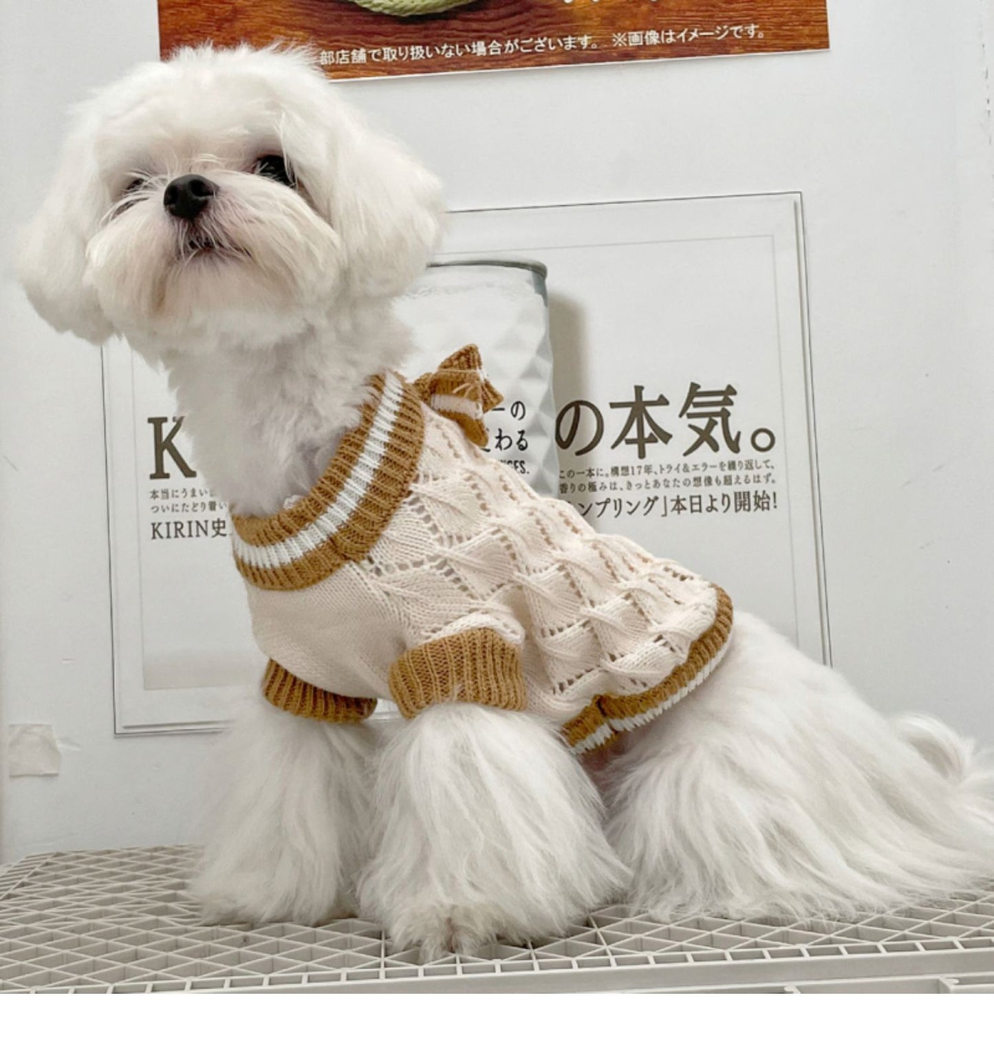 Cricket Knit
