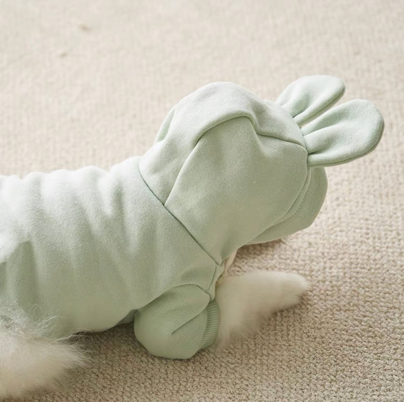 Rabbit Hoodie