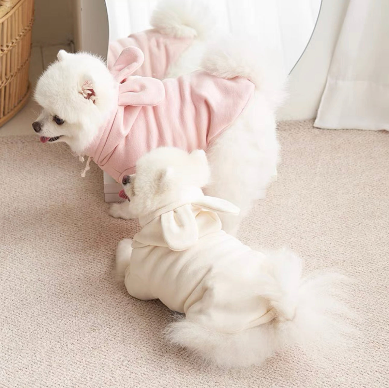 Rabbit Hoodie