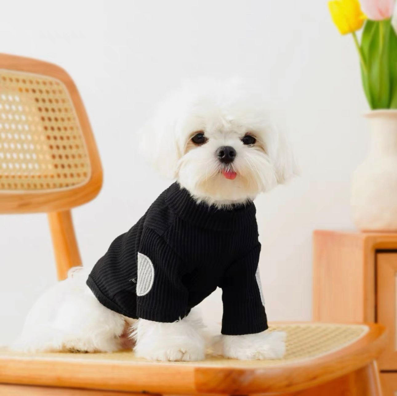 Authentic Neck Shirt