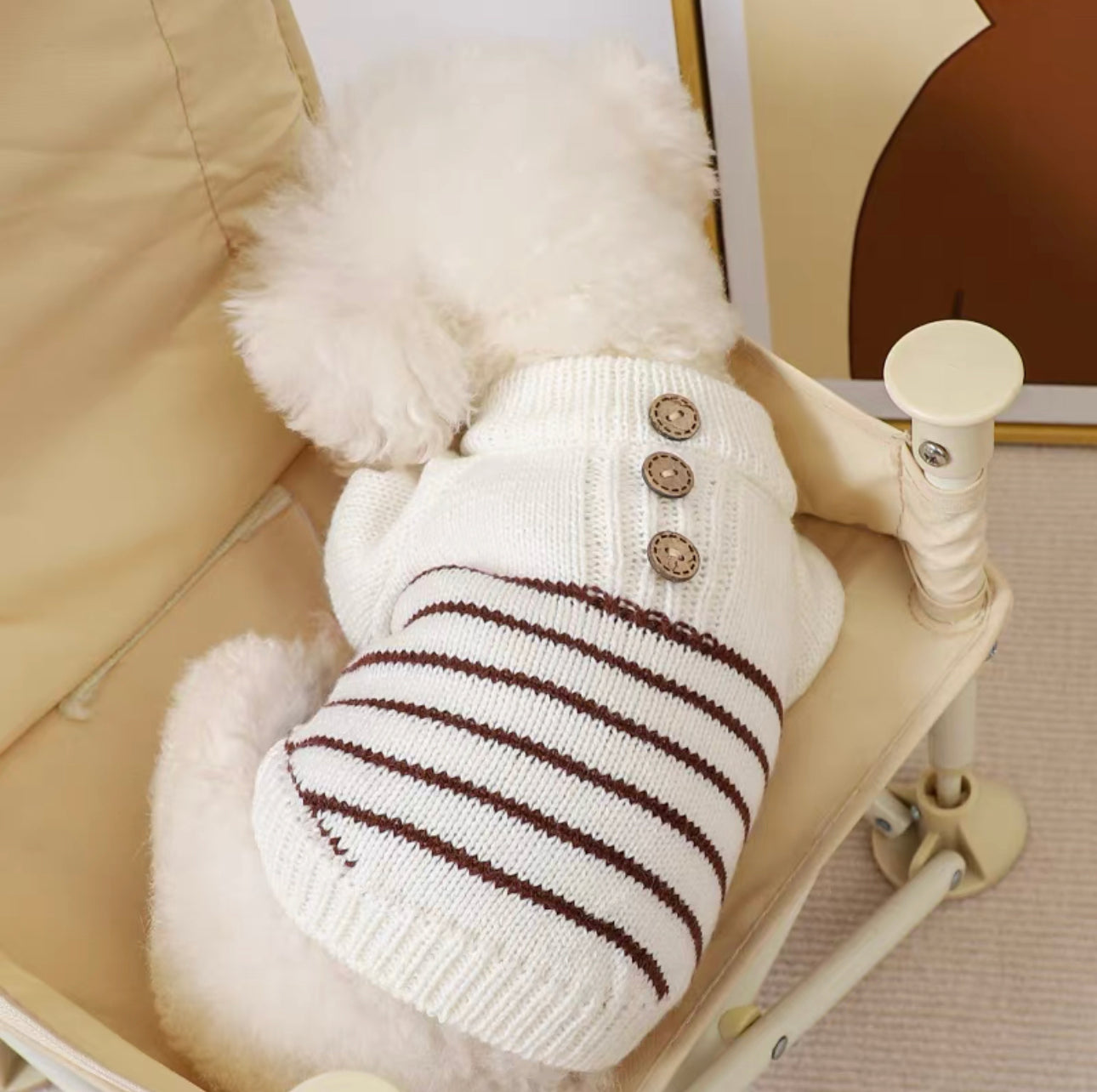 Button Horizontal Stripes Knit