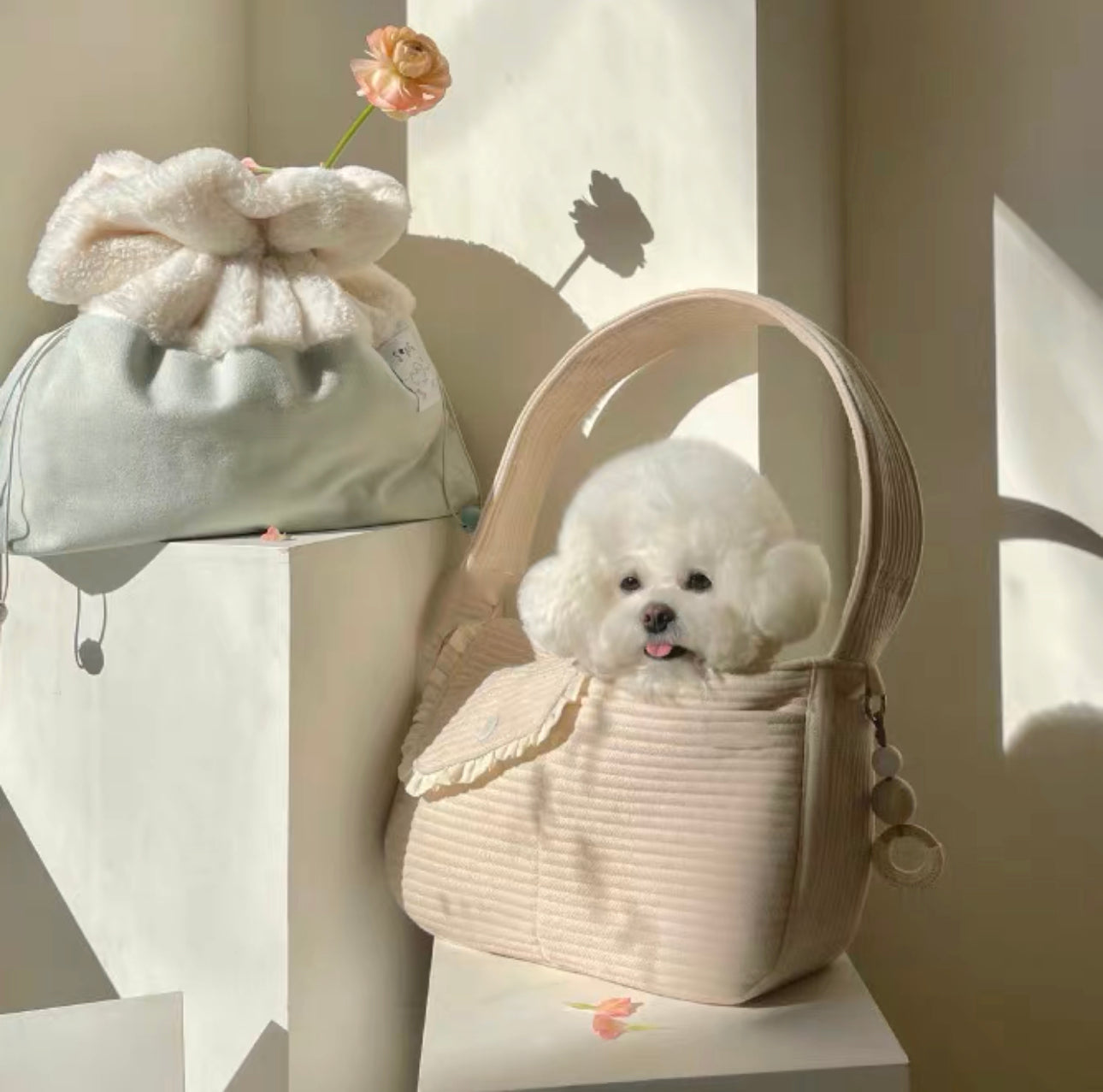 Colorful Outing Bag