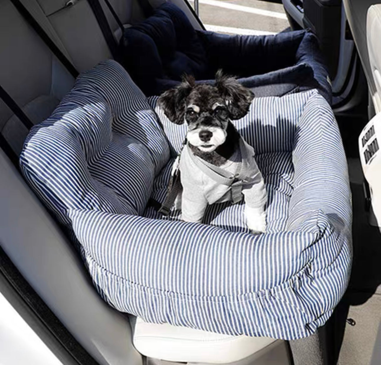 Multi-use Bed