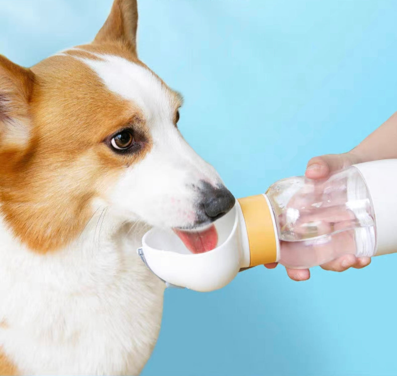 Convenience Bottle