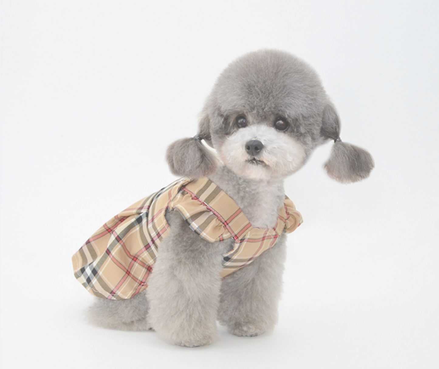 Princess Plaid Dress