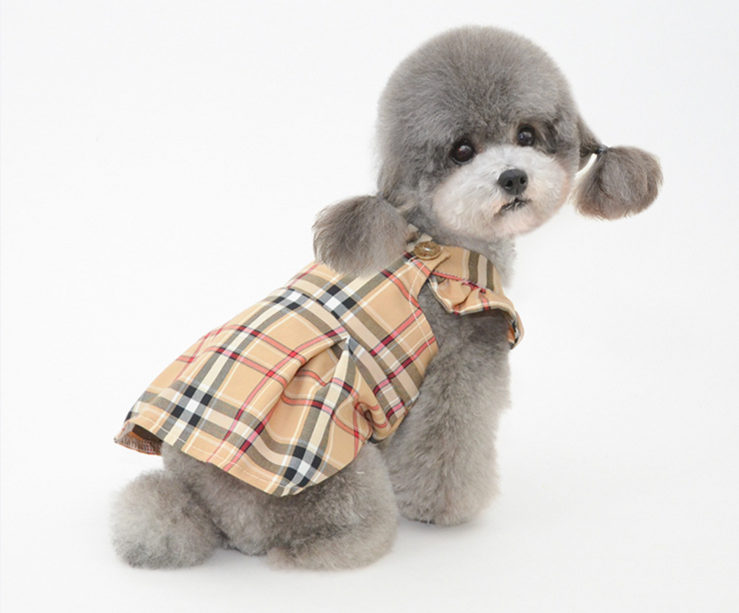 Princess Plaid Dress