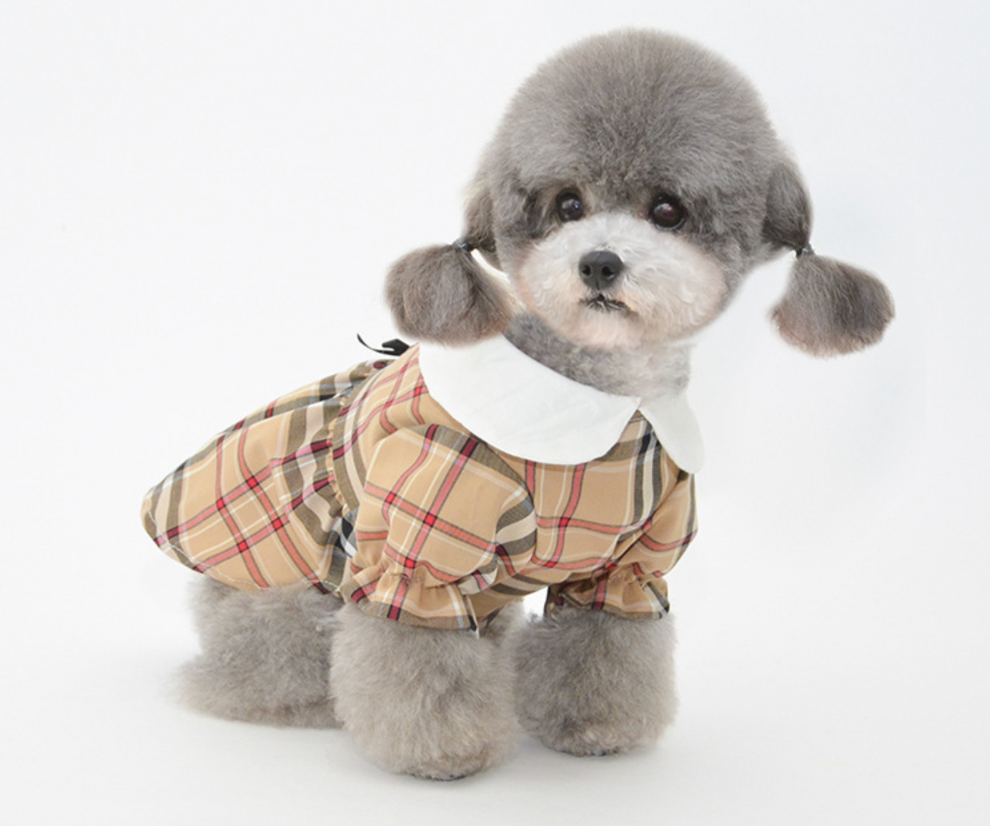 Princess Plaid Dress