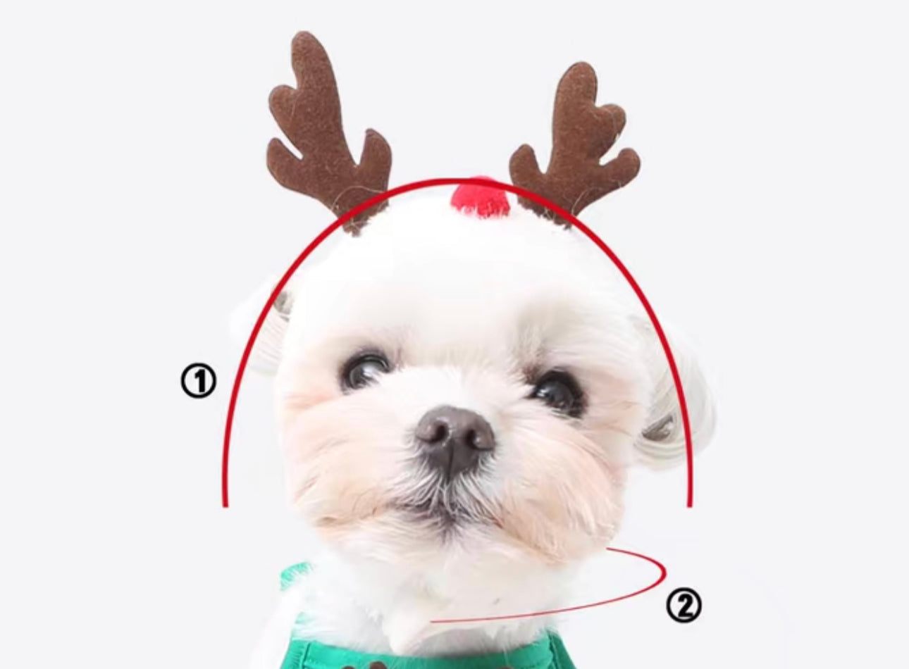 Christmas Tree / Reindeer Hat